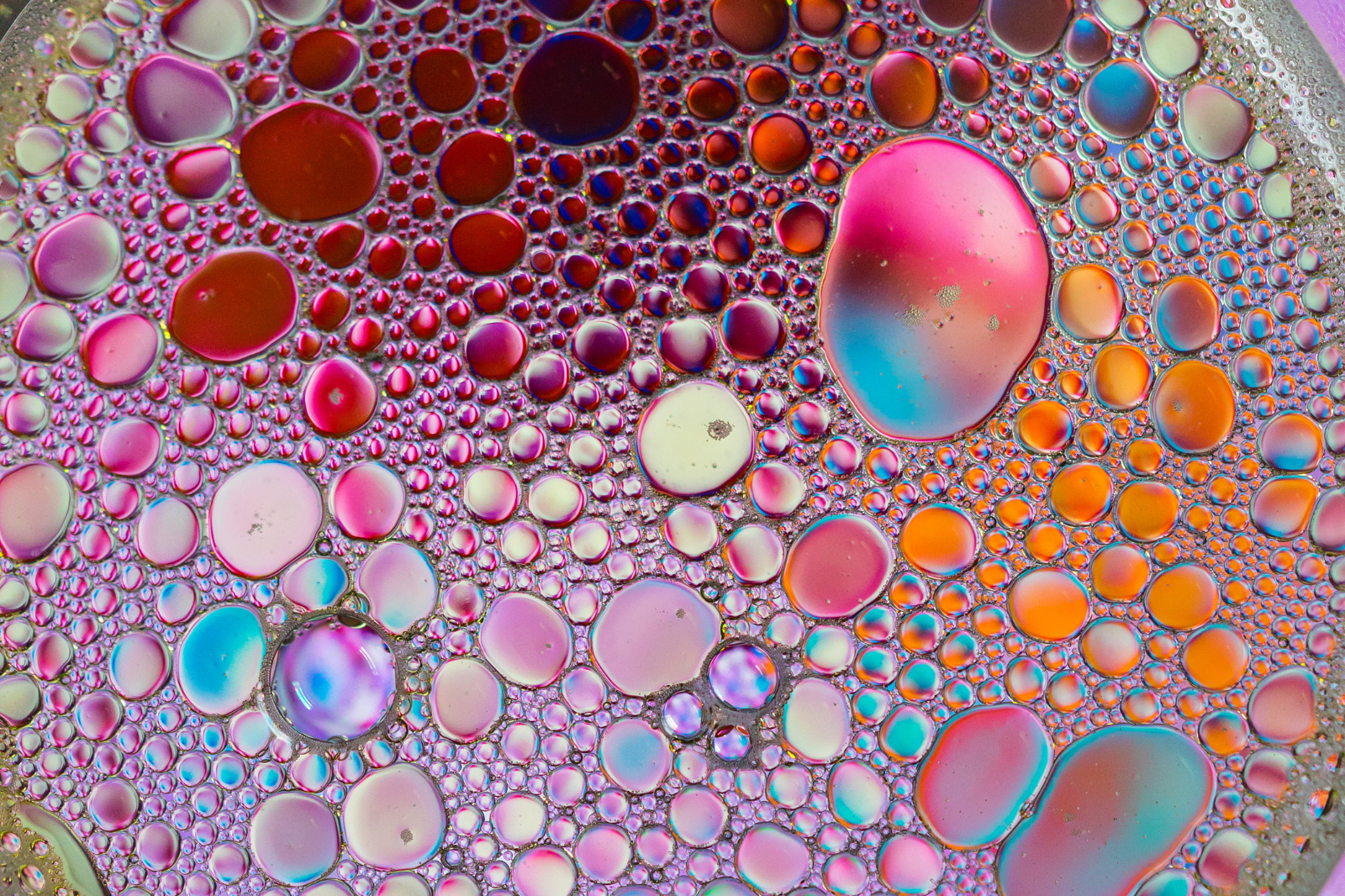 An up-close view of colorful oil and water